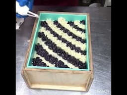 Blackberry Vanilla Cold Process Soap #shorts #short #justsoaps #soapmaking #soap