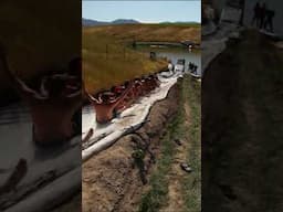What happens when 12 people try and launch off ramp #shorts
