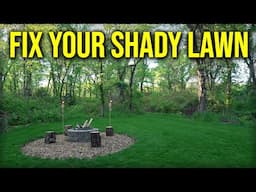 How To Fix A Shady Lawn // Moss Removal, Aerate and Overseed, Best Grass Seed For Shade