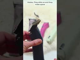 Horse Clipping Hacks - Tips and Tricks for Easy Body Clipping