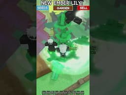 New Ember Lily Seed in Grow A Garden! #growagardenupdate #growagarden #gag #roblox
