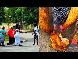 Welcome to South africa 🤣 | I'm leaving south africa | South African living