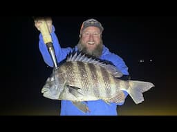 Gigging HUGE SHEEPSHEAD | Catch, Clean, Cook
