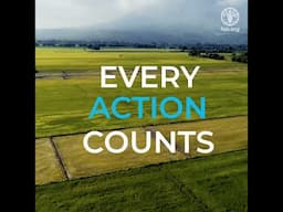 Every action counts to reverse land degradation