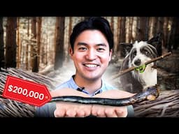 Why Is THIS Stick Worth $200,000?!
