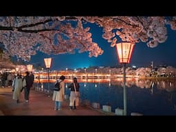 Springtime in Countryside Japan 🇯🇵 | We Chased Cherry Blossoms... Was It Worth It?