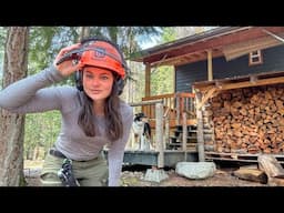 I Lit My Forest on Fire (Not What You Think) | Remote Cabin Living
