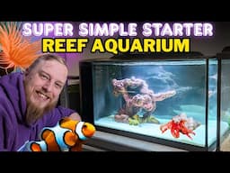 How to Set Up a Saltwater Aquarium: Step by Step Beginner's Guide