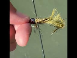 What was I thinking?! (fly fishing for trout)