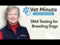 4 Types of DNA Tests Every Dog Breeder Should Know | Dr. Marty Greer Explains