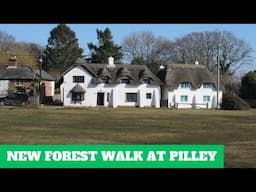 NEW FOREST WALK at PILLEY & BEAULIEU HEATH (NEW FOREST NATIONAL PARK) (4K)