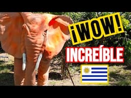 ZOO ESCONDIDO en URUGUAY 🐟 El secreto de Juan Lacaze