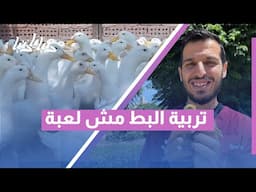 ترند البط... لطيف على الشاشة ومسؤولية كبيرة في الواقع! 🦆 هل أنت مستعد لتربيتها؟
