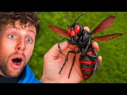 Worlds Most Dangerous Animals