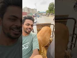 Mashallah 😍 Qurbani 🥰 #qurbani2025 #viral #shorts