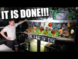 THE ULTIMATE DISCUS FISH AQUARIUM!! the king of DIY