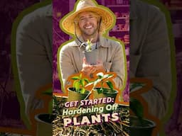 What is "hardening off" plants? | Indoor to Outdoor Gardening