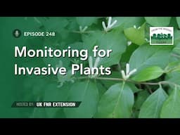 Monitoring Invasive Plants - From the Woods Today - Episode 248