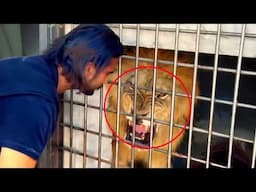 Damn Nature You Scary | Rare & Scary Animal Encounters 😱 #19