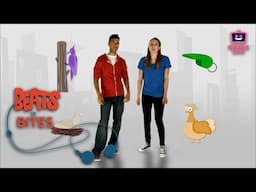 Feelin' Hot, Hot, Hot  | Beats in Bites (25-Minute Music Show for Kids!)