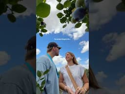 Blueberry Date!🫐 #couples #relationship #dateideas