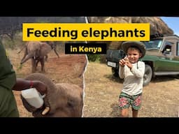 Best NON-TOURISTY Kenya Safari itinerary - finding Baby elephants (Part 1)
