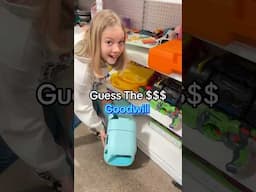 Guess The Price! - Goodwill edition!! #foryou #fypage #goodwill