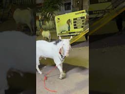 Kota in Pune
