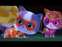 🦴 Oase de dinozaur | Super Pisicuțe | Disney Junior România