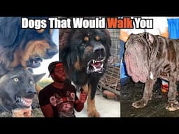 Dogs That Will Send You to DOG Backwards