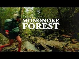 Hiking Japan's Yakushima Island | Wrapped In Green