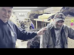 Bear Pelt Handling, Tips & Tricks For Top Dollar From Legendary Fur Experts