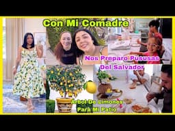 Miren Que Bonito Quedo😍Arbol De Limones Para El Patio🍋Fui Con Mi Comadre- Pupusas Del Salvador 😋