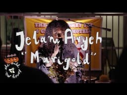 Jelani Aryeh - Marigold | The Wild Honey Pie Pizza Party