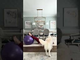 WEEK 23 of “Exercise Every Day in 2025” - BRIDGES ON A BALL