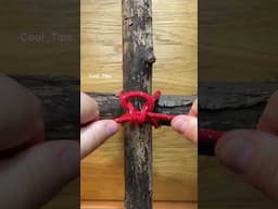 DIY Tips and Tricks on the Next Step