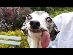 SHADUUUUUR!!!!!!
