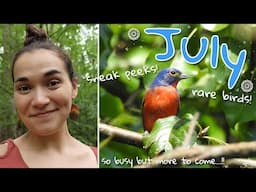 🌻 making 400 joy-cranes has taught me I'm a squirrel 🌺 July Monthly Wrap-Up!