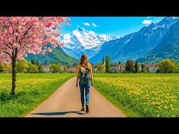 Spring has arrived in INTERLAKEN 🇨🇭 Switzerland 4K