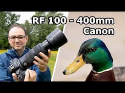 Testing the Canon RF 100-400mm F/5.6-F/8 IS USM Lens for Wildlife Photography – In the Field