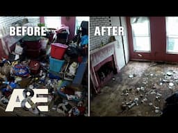 Hoarders: When the Clean Up Comes Too Late *Compilation* | A&E