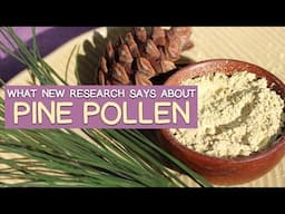 Benefits of PINE POLLEN for MEN - What New Research Says