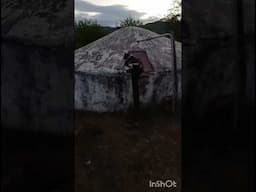 UM GATO INTELIGENTE - vídeo de Márcia Medeiros.