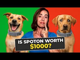 SpotOn Fence Review: Everything You Need to Know in Under 6 Minutes