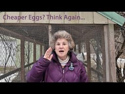 Think Home-Raised Eggs Are Cheaper Than Store Bought? Think Again.