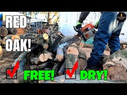 FREE DRY RED OAK FIREWOOD!