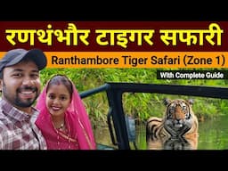 Ranthambore Tiger safari Sawai Madhopur | Zone 1 | Ranthambore National Park | Ranthambore safari