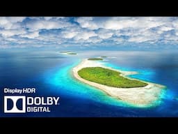Surprising HDR 8K 120 FPS Dolby Vision - 4K Video ULTRA HD #4k #hdr