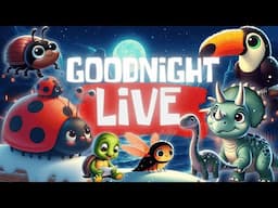 🌌 Whispering Nights: Live Bedtime Stories to Calm Your Mind & Enchant Your Dreams 💤✨