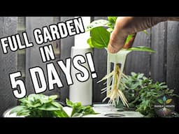 FORGET THE RULES! NEVER WAIT FOR SEEDS AGAIN, 3 AEROGARDEN HACKS THAT WILL CHANGE THE GAME.